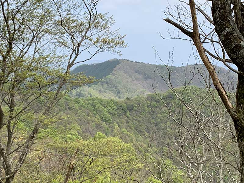 4.���~�[�̍�