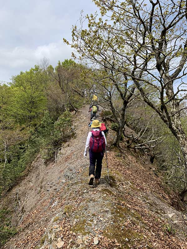 5.��������