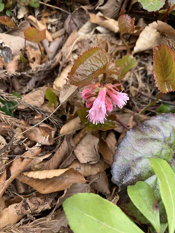 9.�C���J�K�~