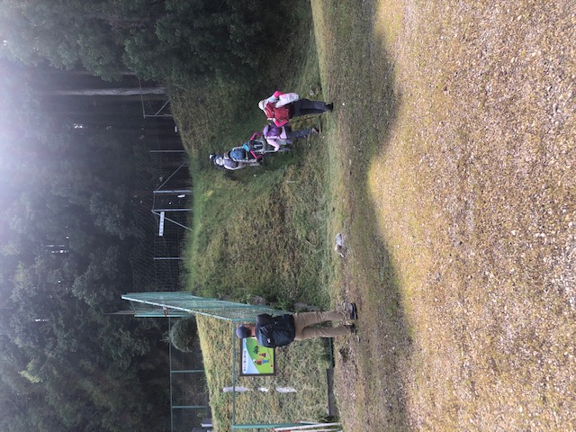 2.�����R�o�R������o��