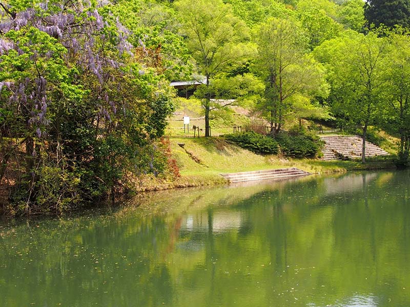 5.�Ց�����A����r