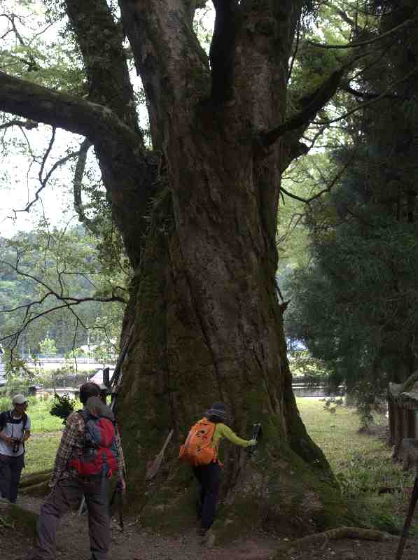 4.����700�N�̃P���L