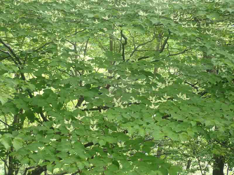 7.���}�{�E�V