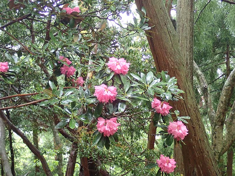 10.�V���N�i�Q�R