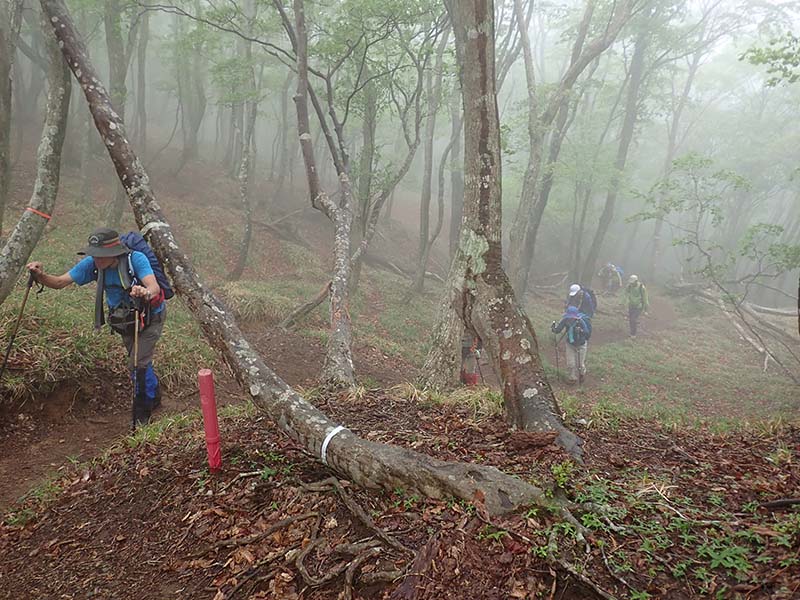 4.������