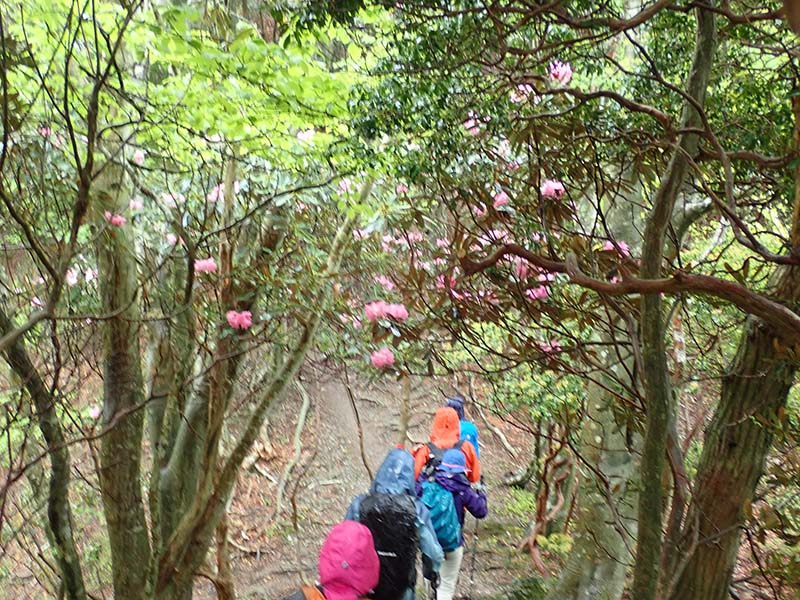 9.�V���N�i�Q�Q