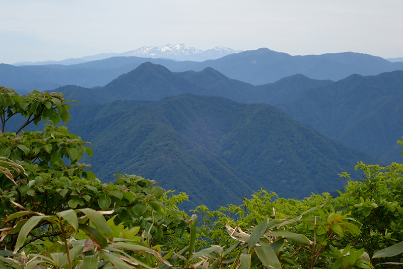 4.���ォ�甒�R