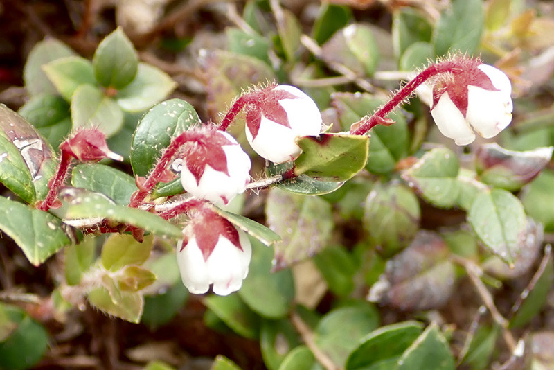 5.�A�J���m