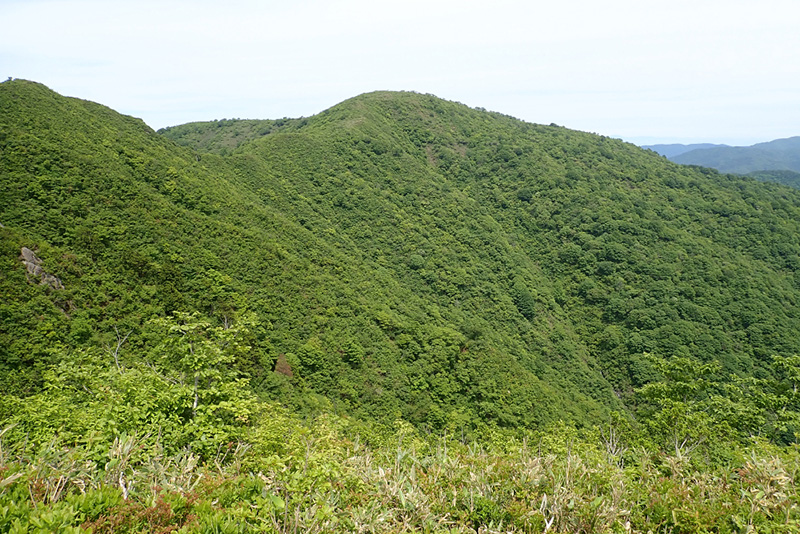 6.�U��Ԃ�΋����x