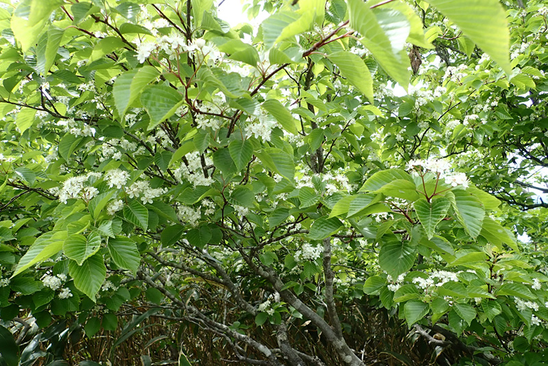 8.�N�}�m�~�Y�L