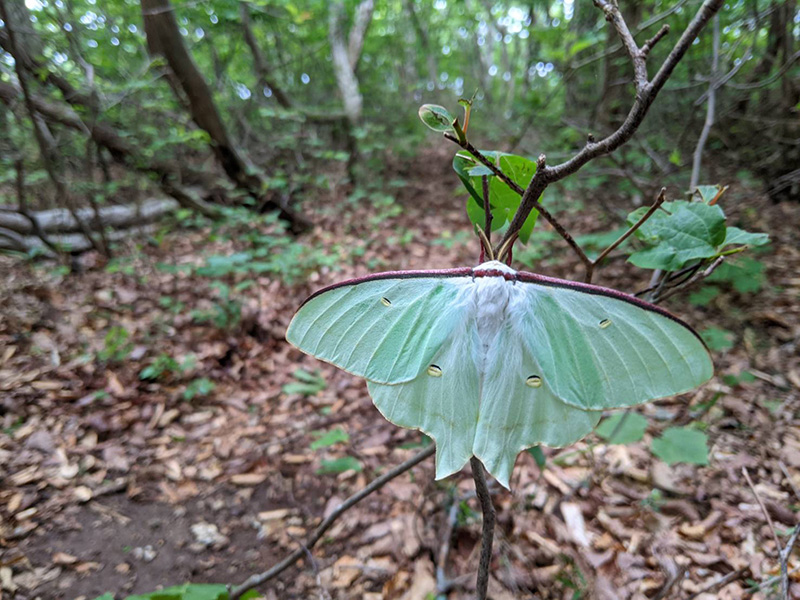 9.�؂ɂ����݂��I�I�~�Y�A�I