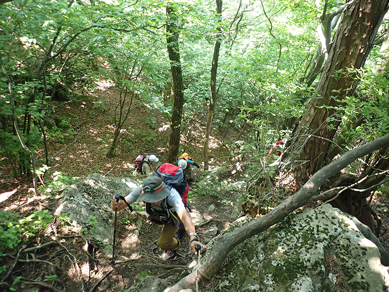 3.���̓o��