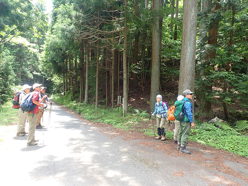 5.��r�ѓ��o�