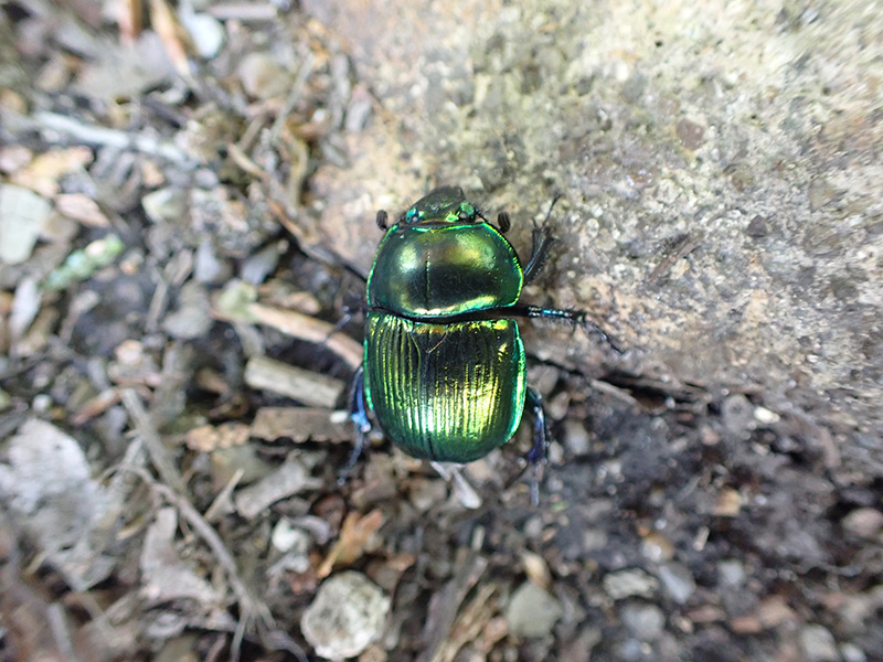 6.�~�h���Z���`�R�K�l