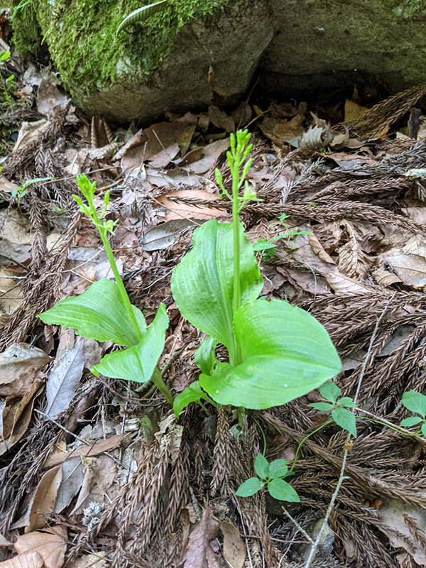 9.�N���L���\�E