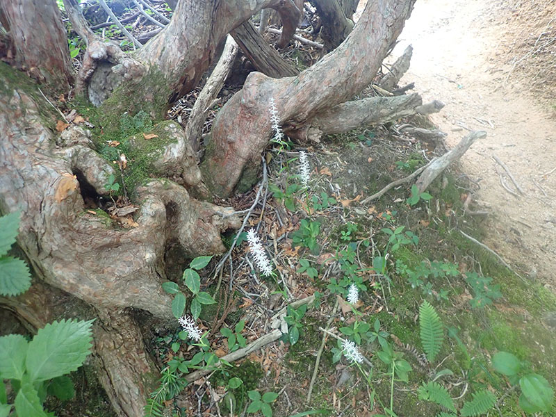 9.�V���C�g�\�E