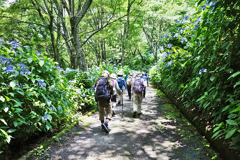 2.�V�������䂭