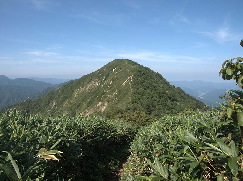 10.���q�x�������x