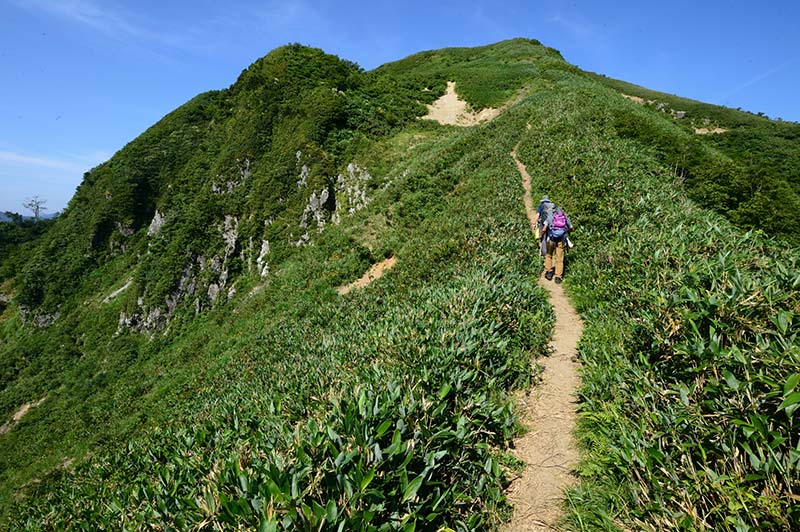 11.�R���߂��iN�j