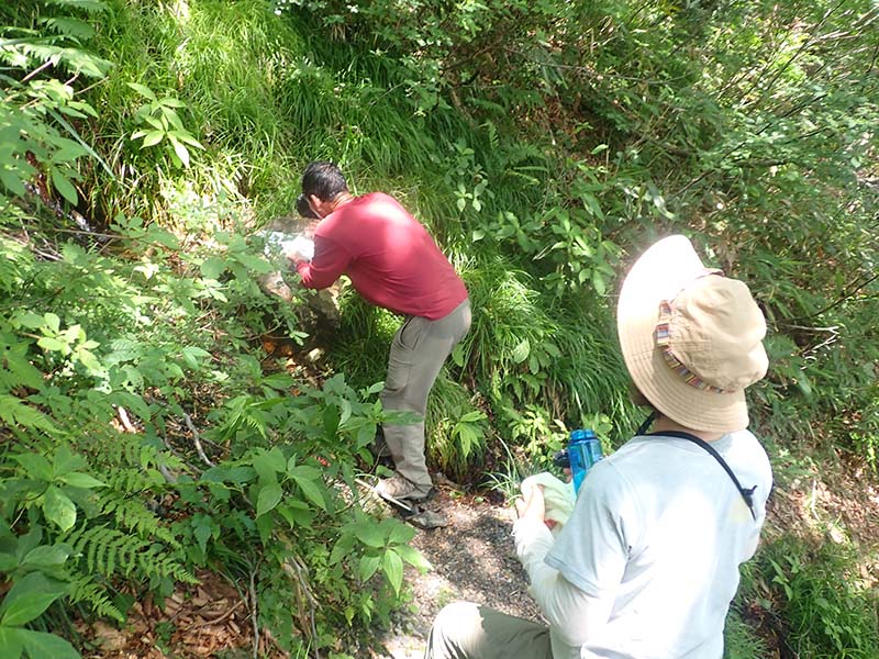 12.�ƕ��̐���