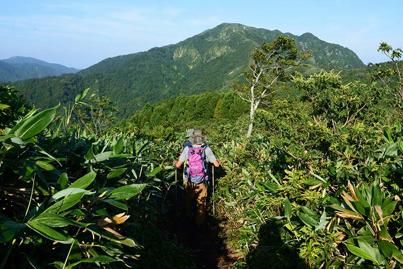 9.�����x�iN�j