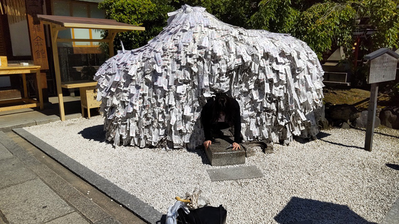 5.����������{