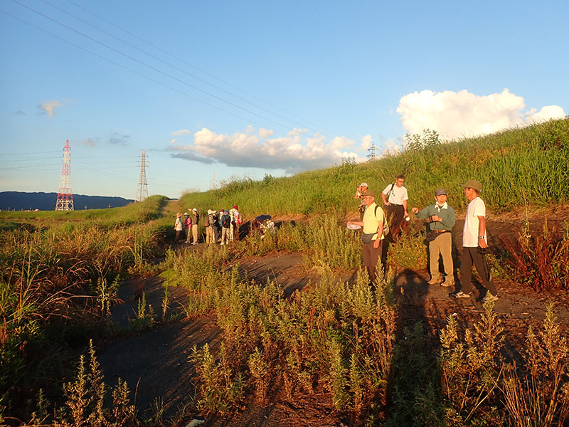 3.�[�������Ȃ���c�o����҂�