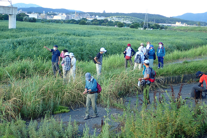 4.���낻��c�B�iN�j