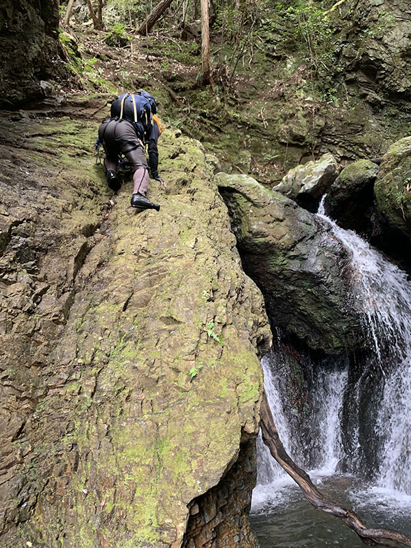 2.����I�񂵂�