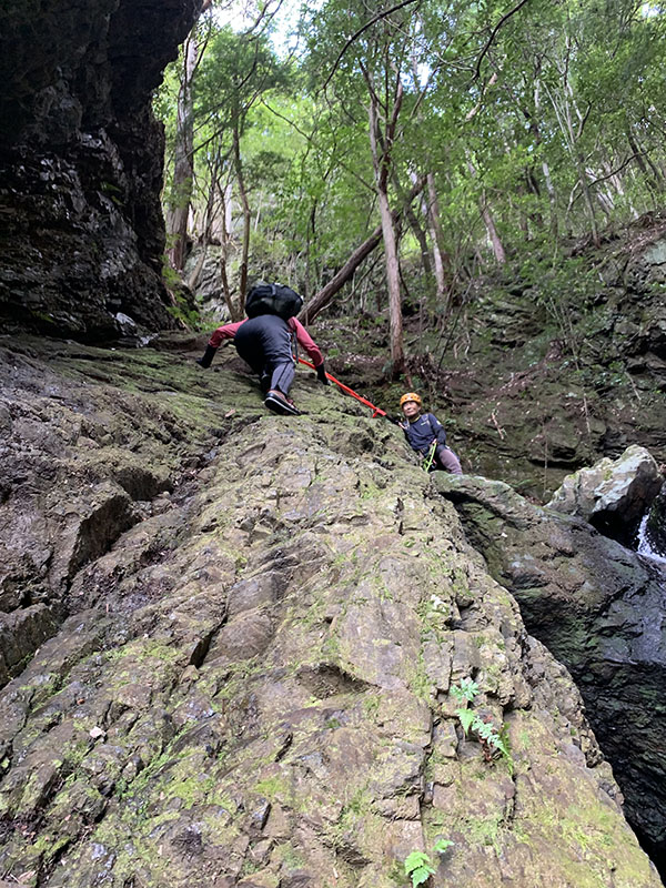 3.�m�ۂ���Ȃ���o��