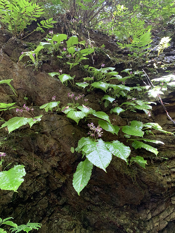 6.�C���^�o�R