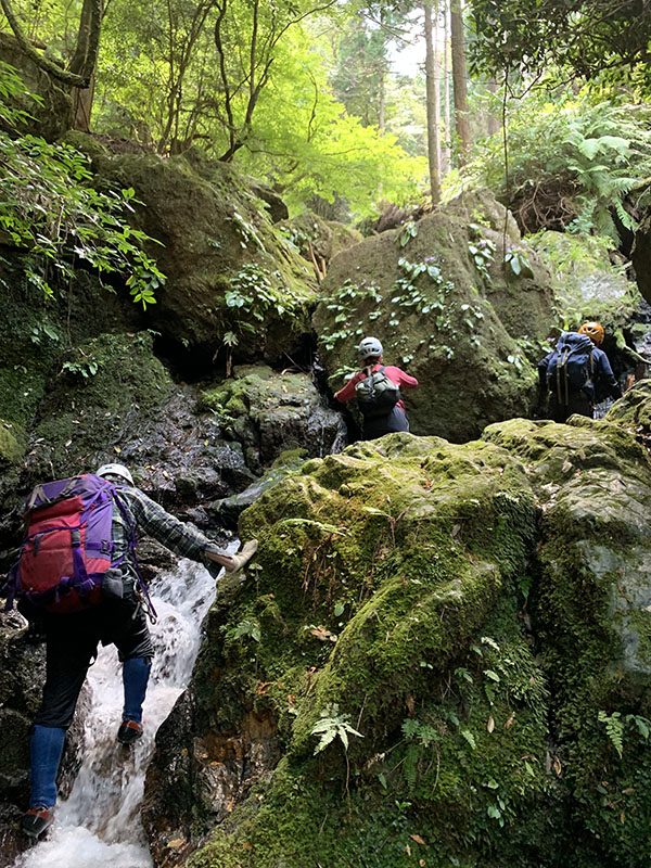 7.�k�s������3