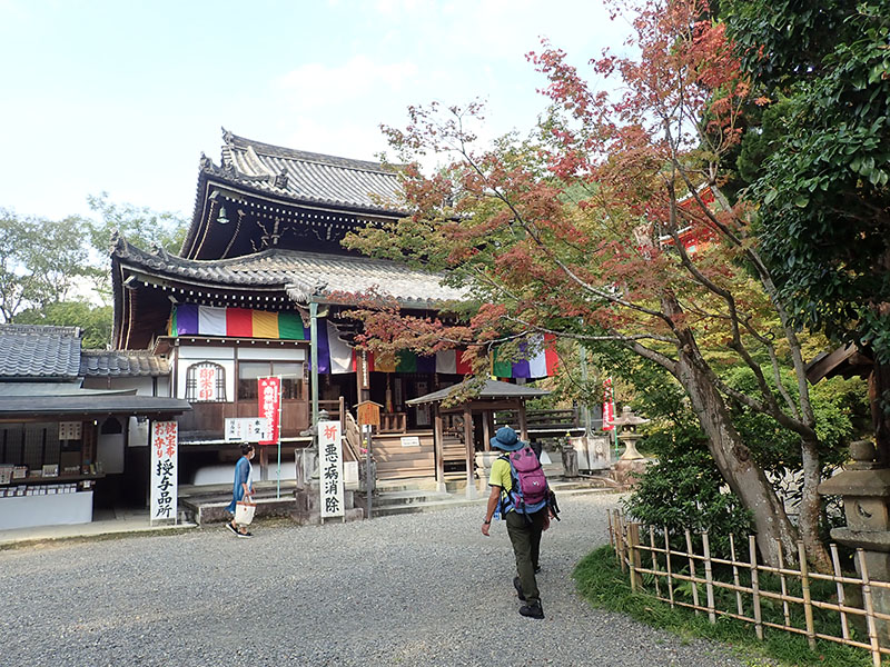 3.���F��ω���