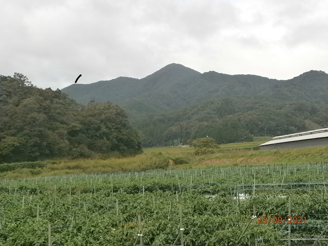 1.���������x