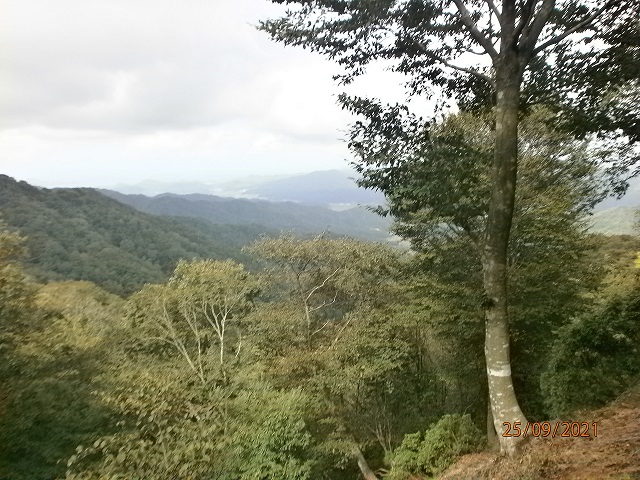 4.�v���l�p��]��