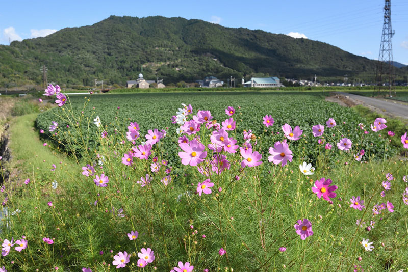 10.�R�X���X��ㄎR�iN�j