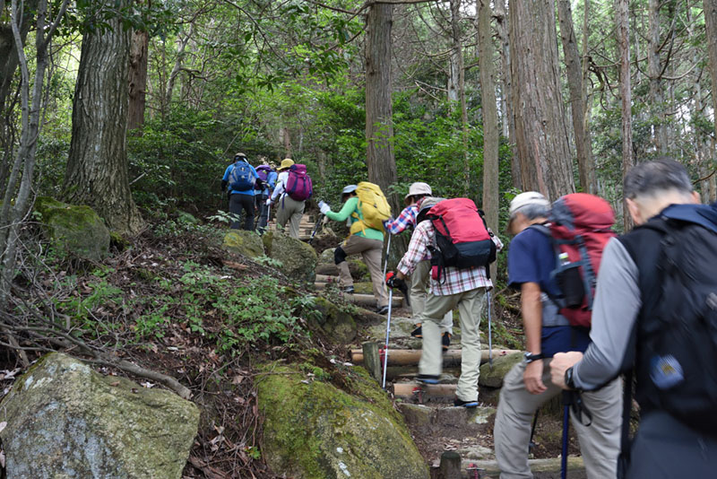 4.�o�R���iN�j