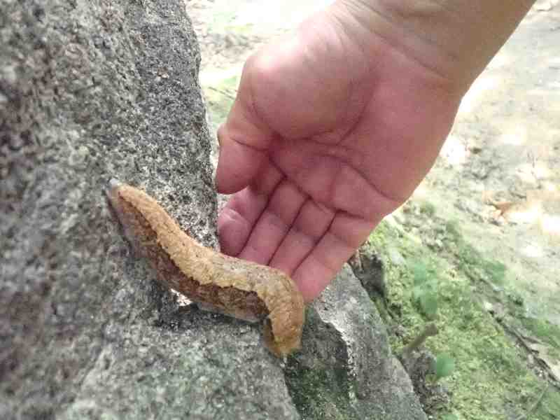 6.���}�i���N�W�i�ݗ���j