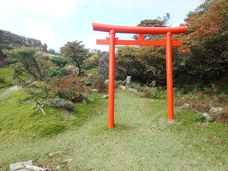 5.�����喾�_