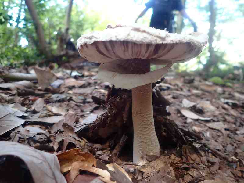 8.���A����