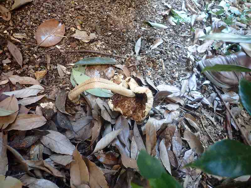 9.���A�V��