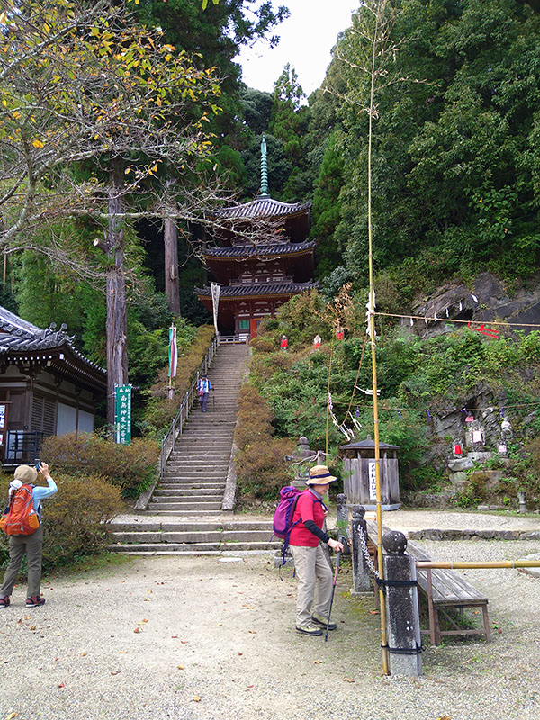 3.������