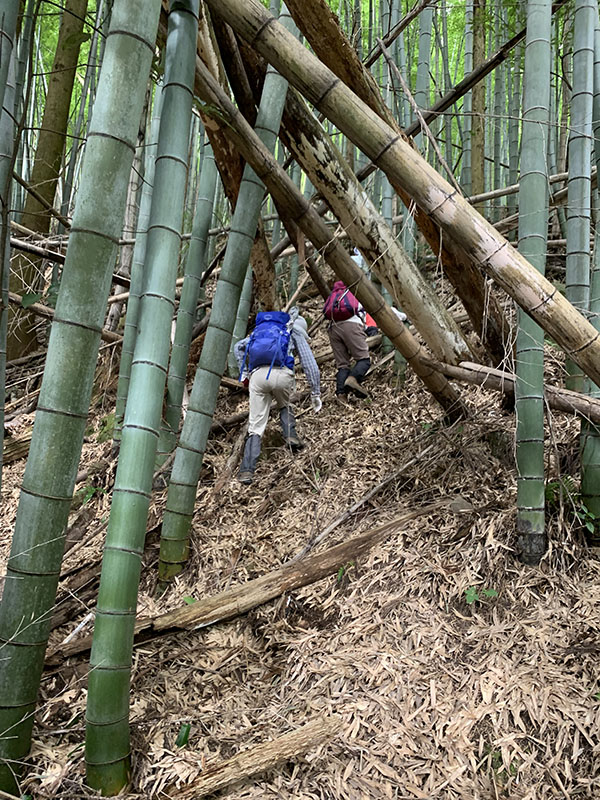 2.�o�R����T����