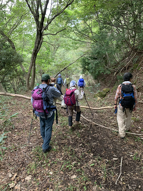 5.�ѓ��ɓ���