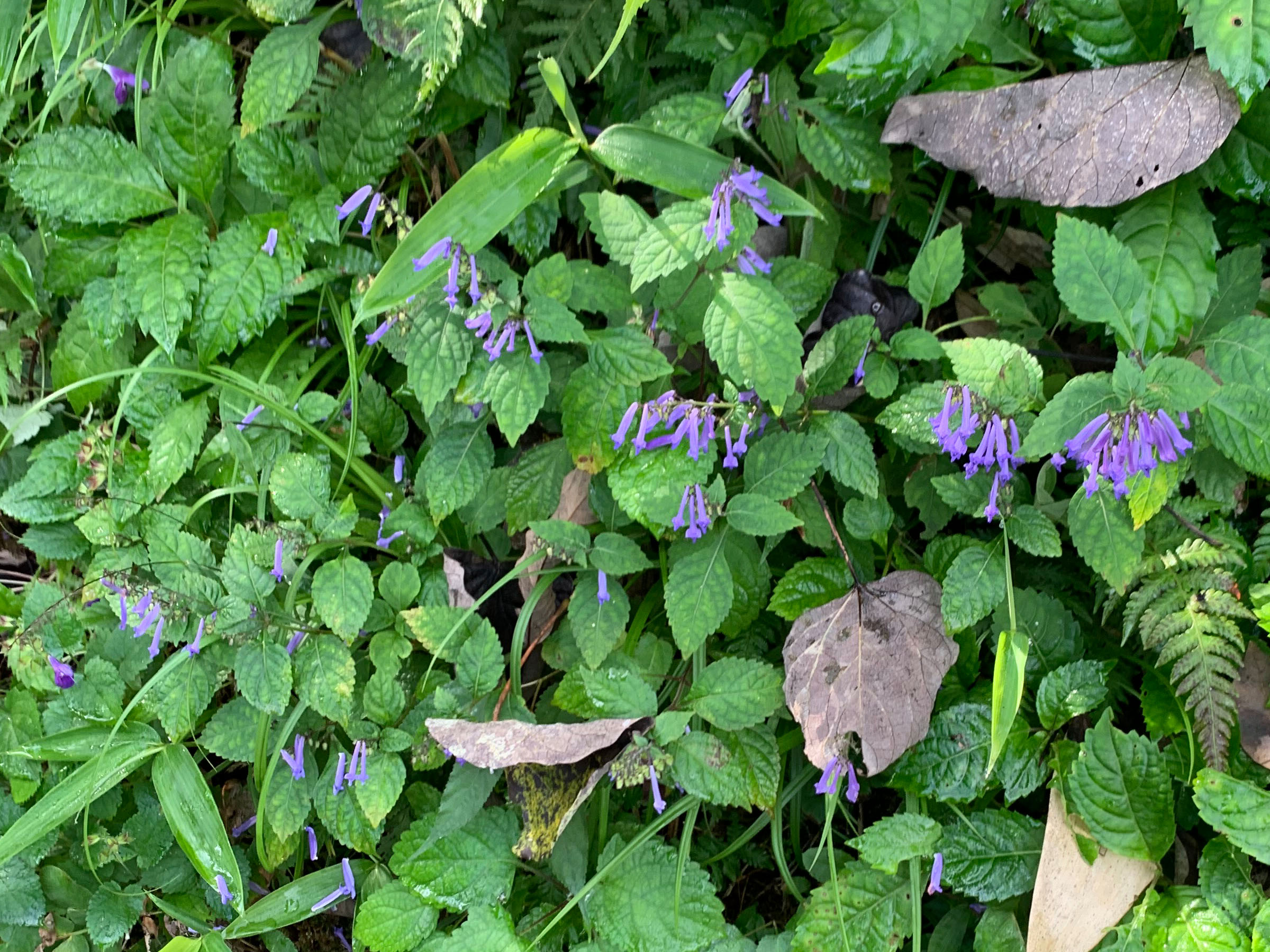 7.�����h�E