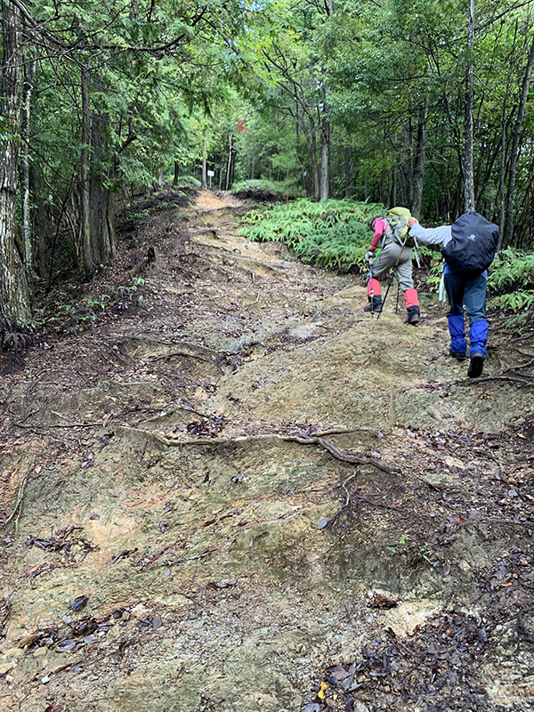 2.������ ���r�R�[�X