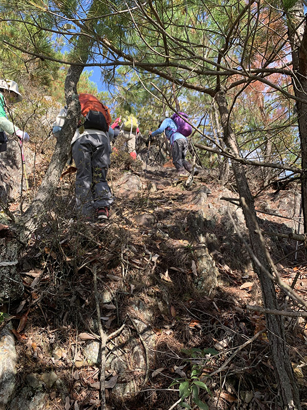 7.���x�m�R�̋}�o