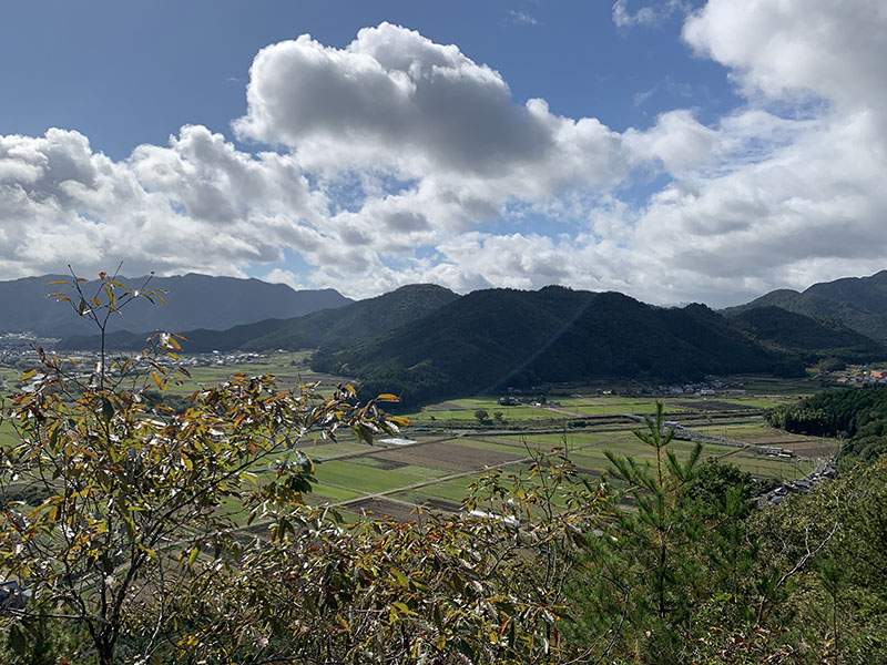 8.���x�m�R����̍�����