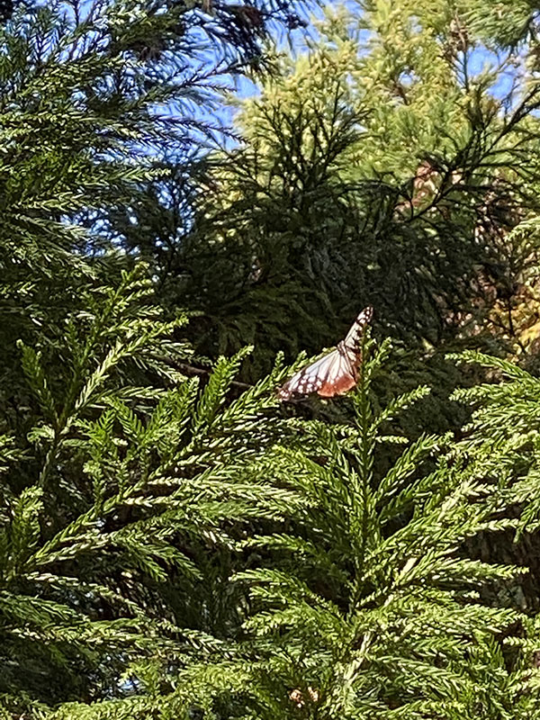 5.�A�T�M�}�_��