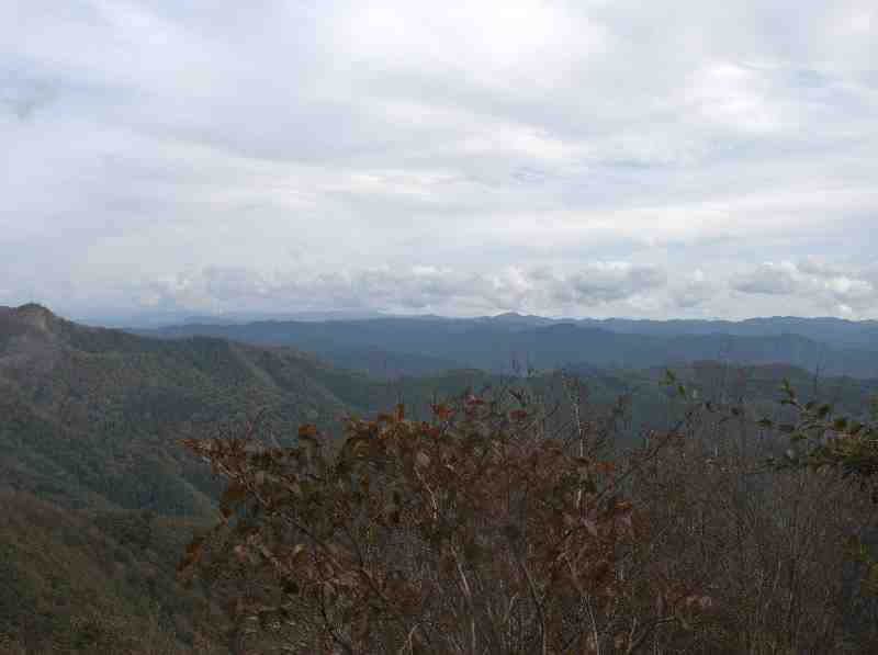 4.�����ɐ��R